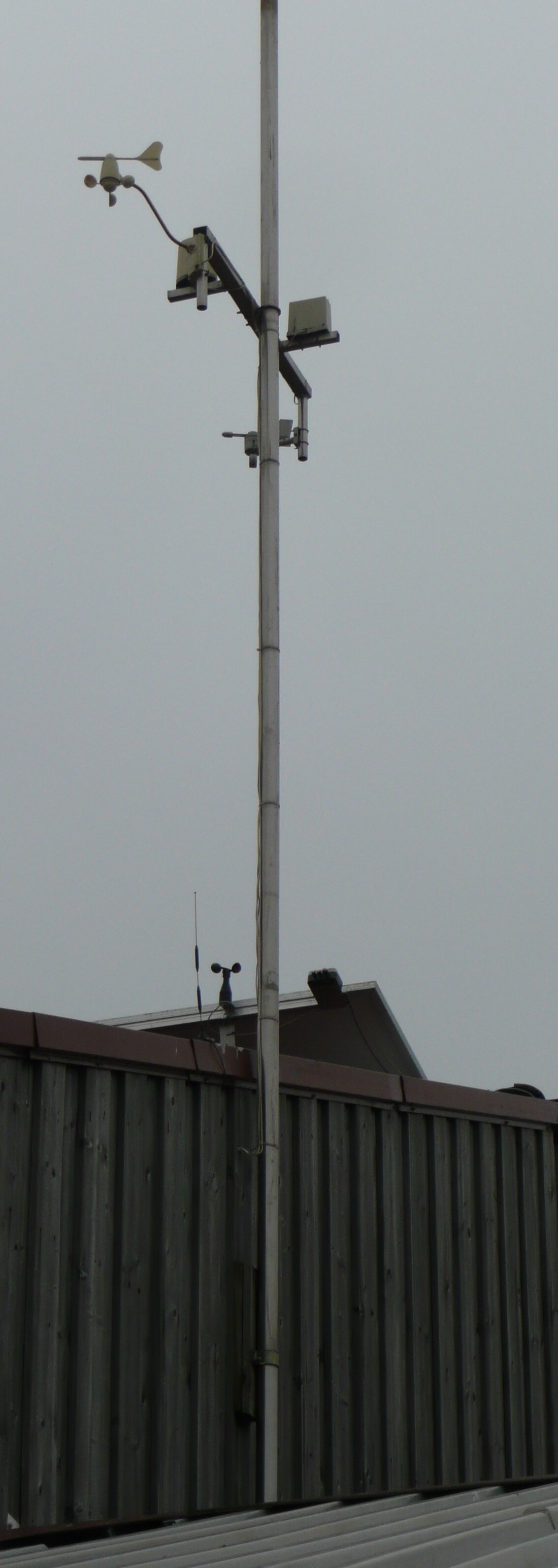 Mast